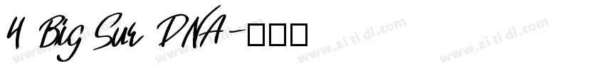 4 Big Sur DNA字体转换